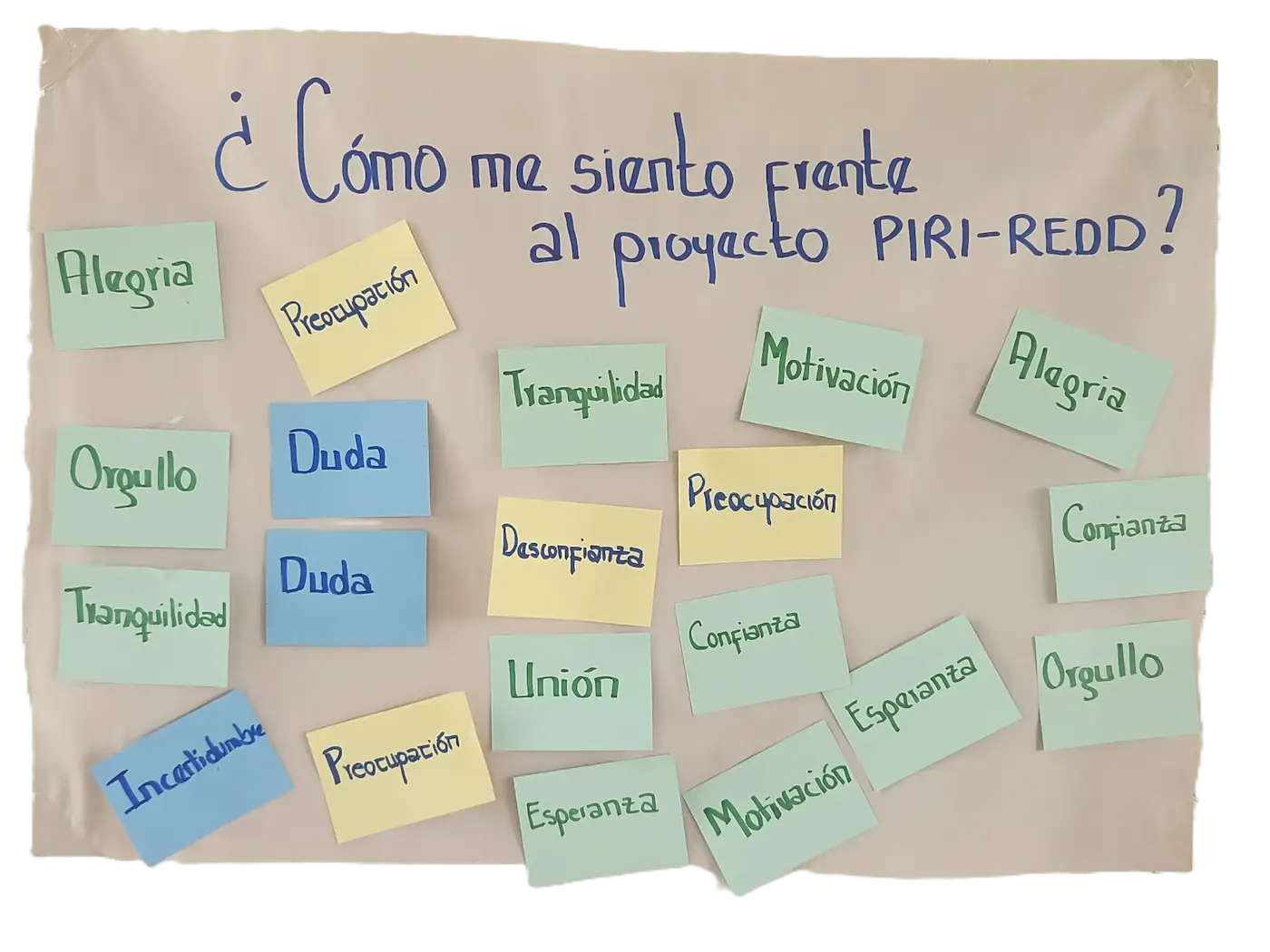 Participant feedback
